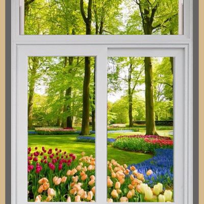 Cửa sổ 2 cánh lùa